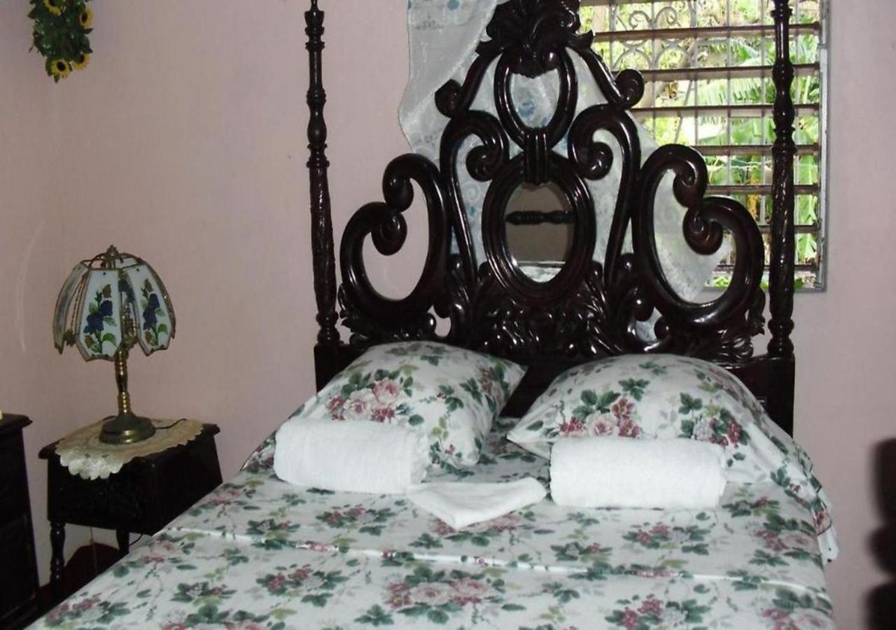 Kingston Airport Bed And Breakfast Екстер'єр фото